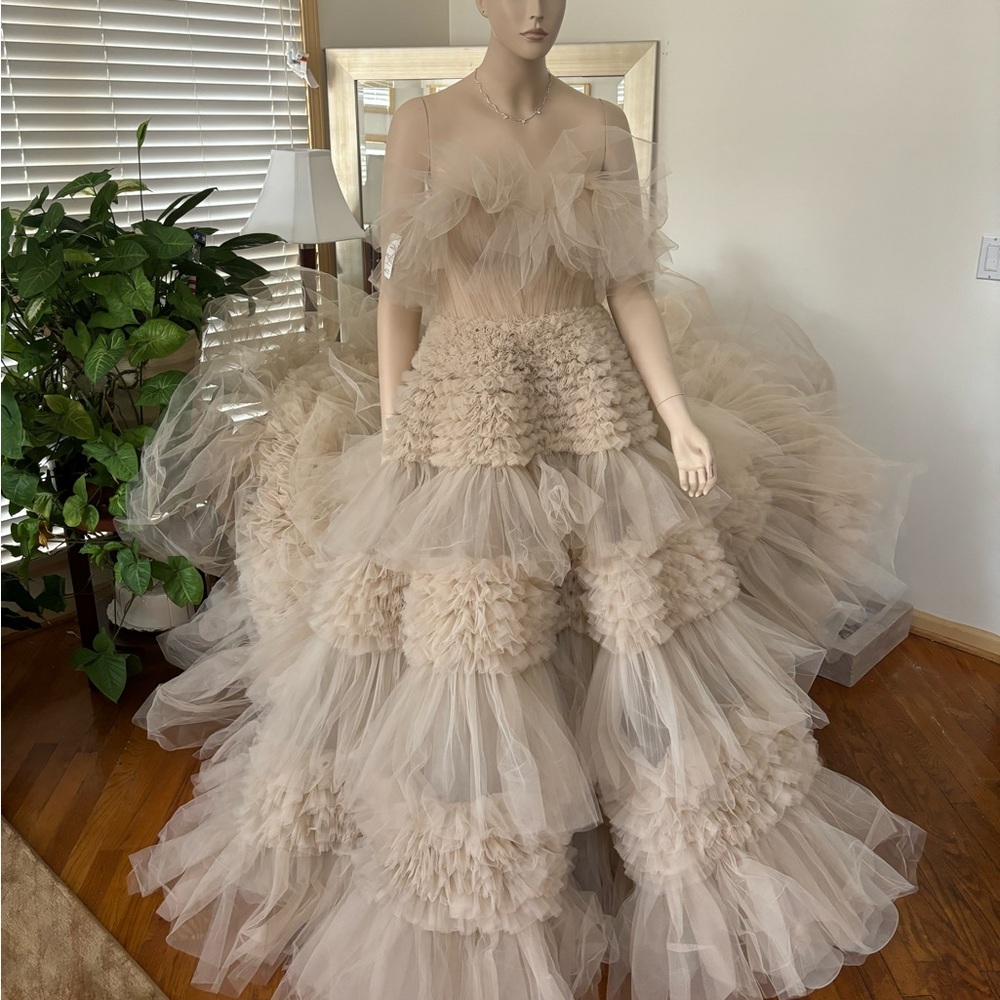 Elegant Cream Tulle Gown

Zuhair MuradRuffled Tulle Wedding Dress Size 8 - Picture 4 of 16
